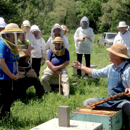 Group of students for a beekeeping course