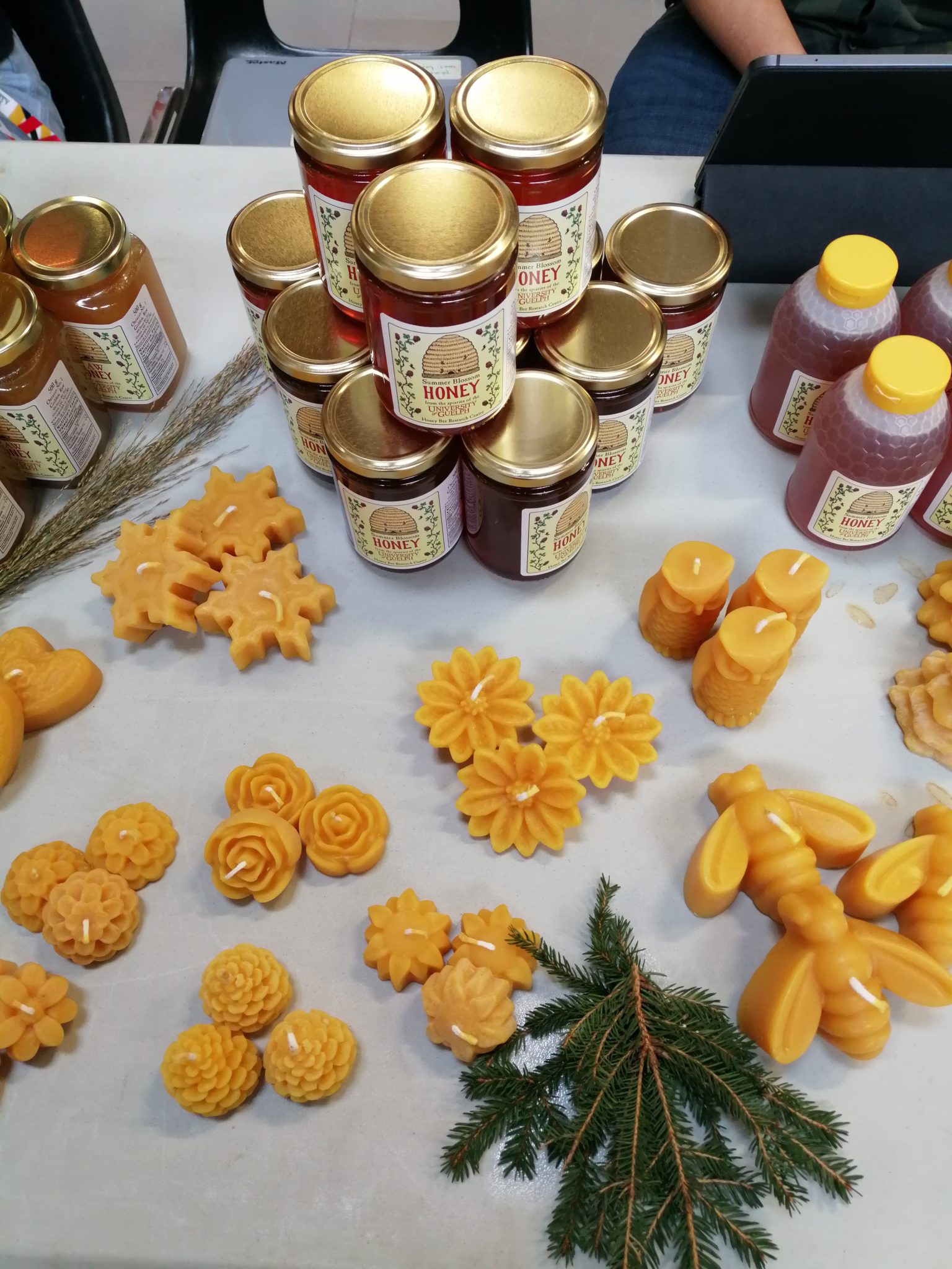 The University of Guelph Apiculture Club Honey Bee Research Centre