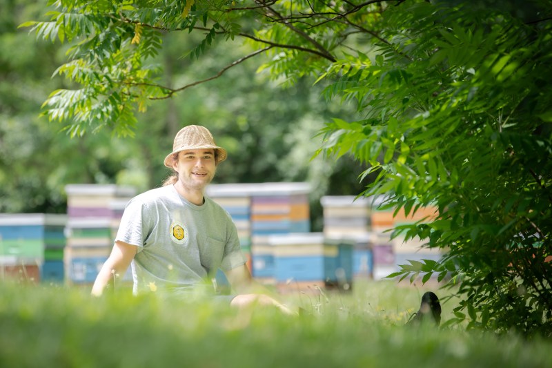 max sitting in the bee yard
