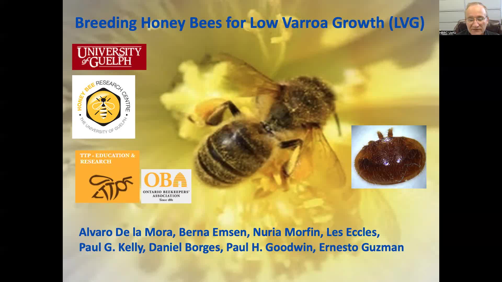 Bee Breeding for Low Varroa Growth – Honey Bee Research Centre