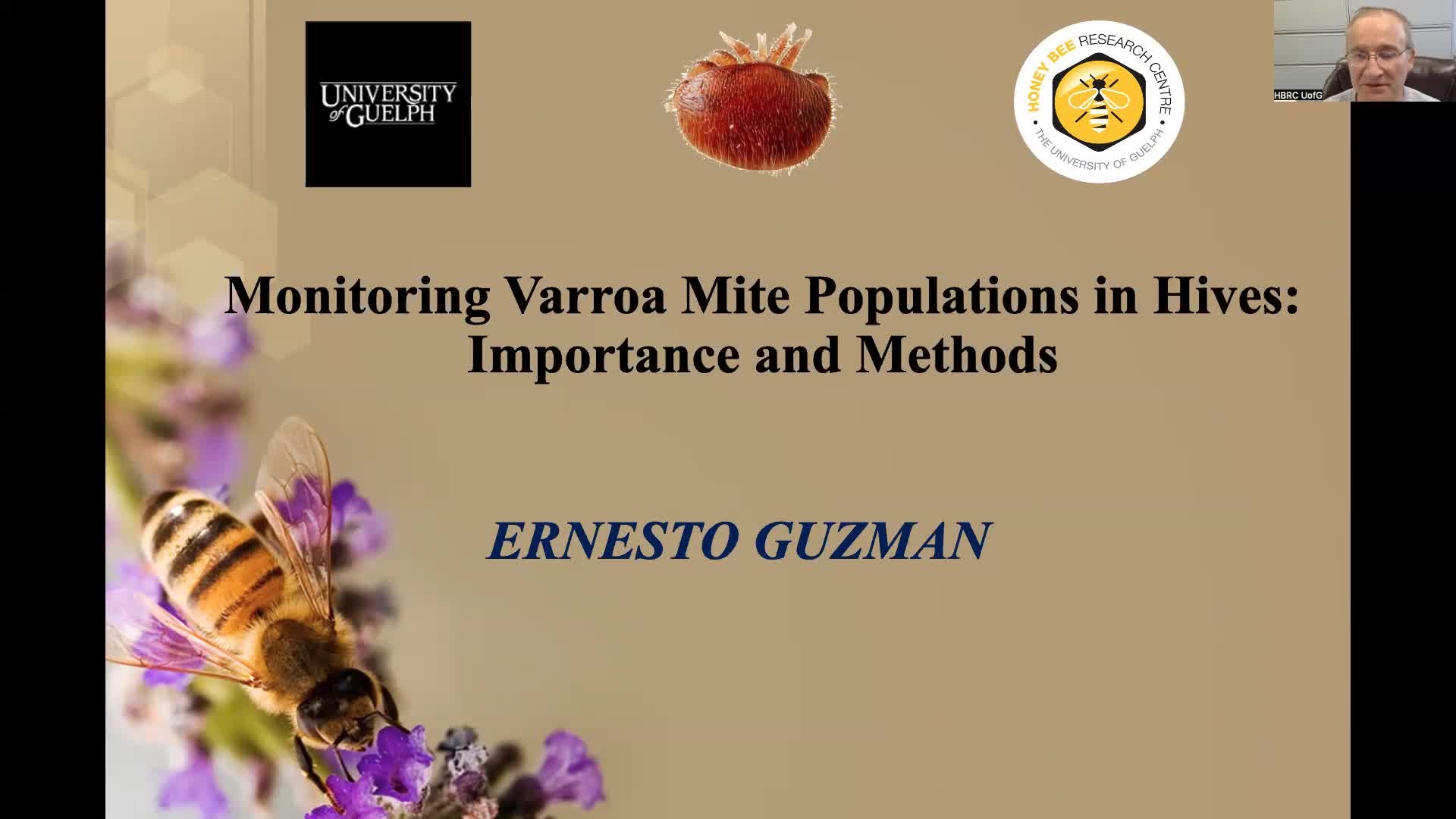 Varroa Monitoring – Honey Bee Research Centre
